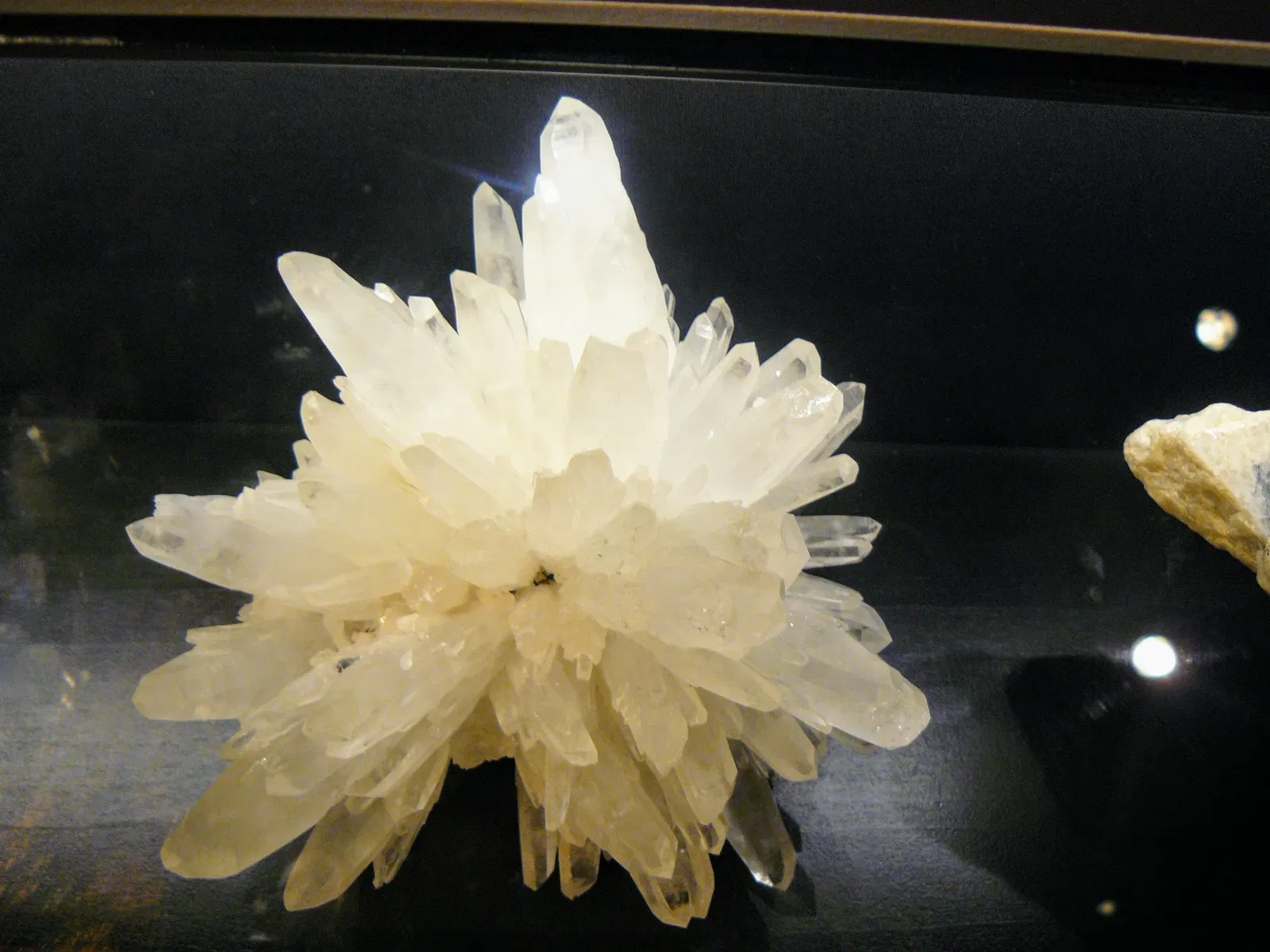 Canadian Museum of Nature