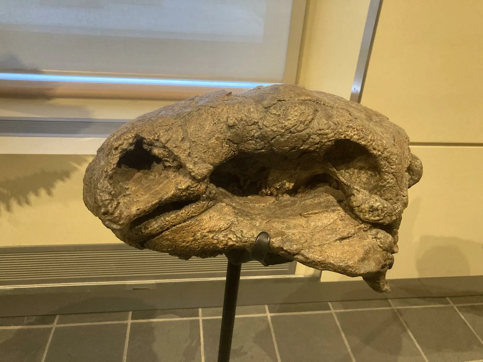 Canadian Museum of Nature