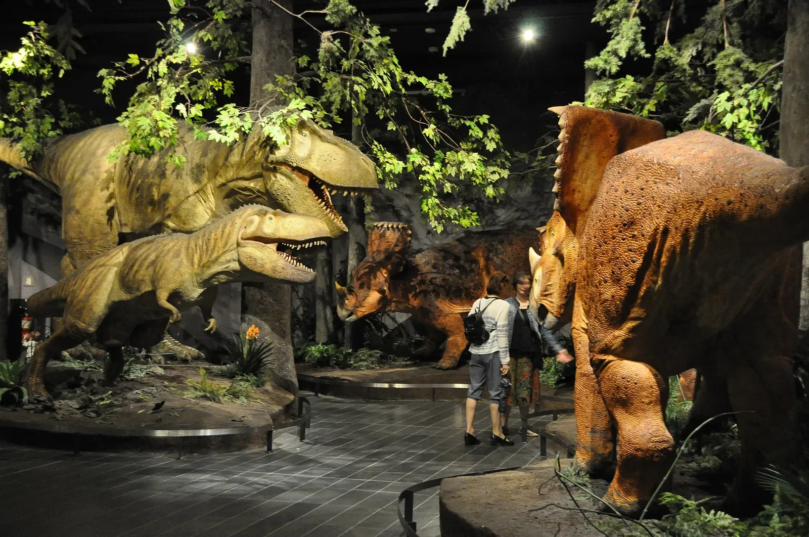 Canadian Museum of Nature