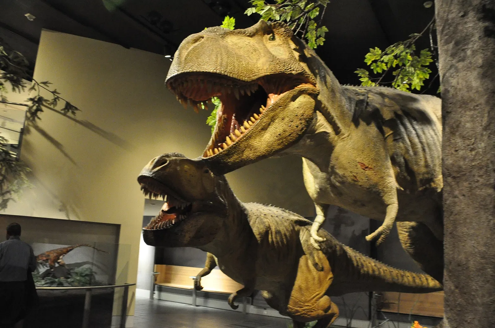 Canadian Museum of Nature