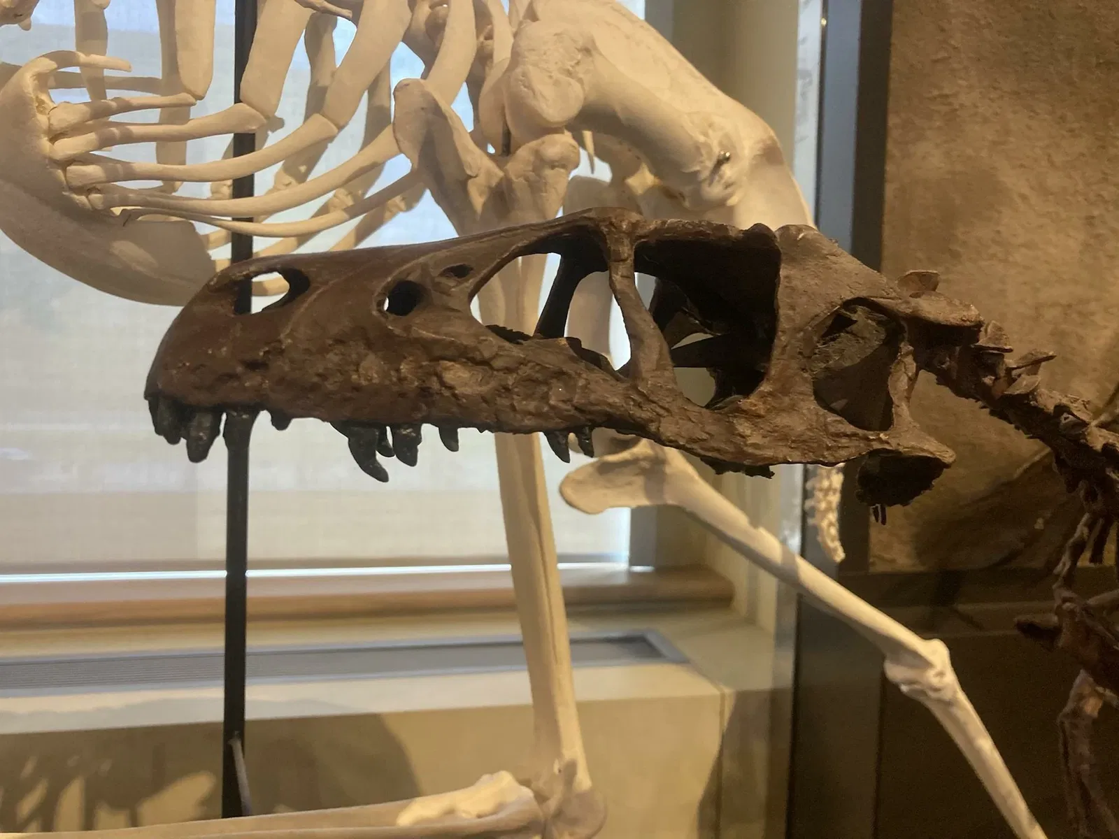 Canadian Museum of Nature