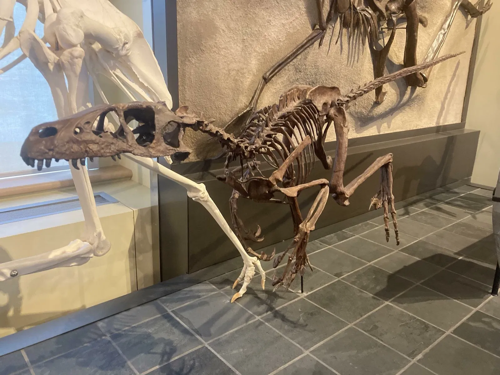 Canadian Museum of Nature