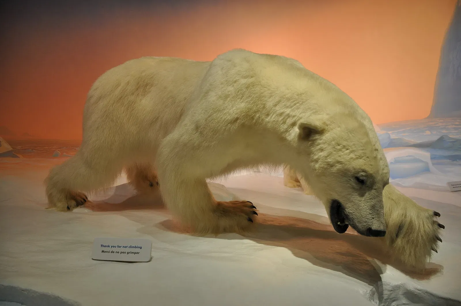 Canadian Museum of Nature