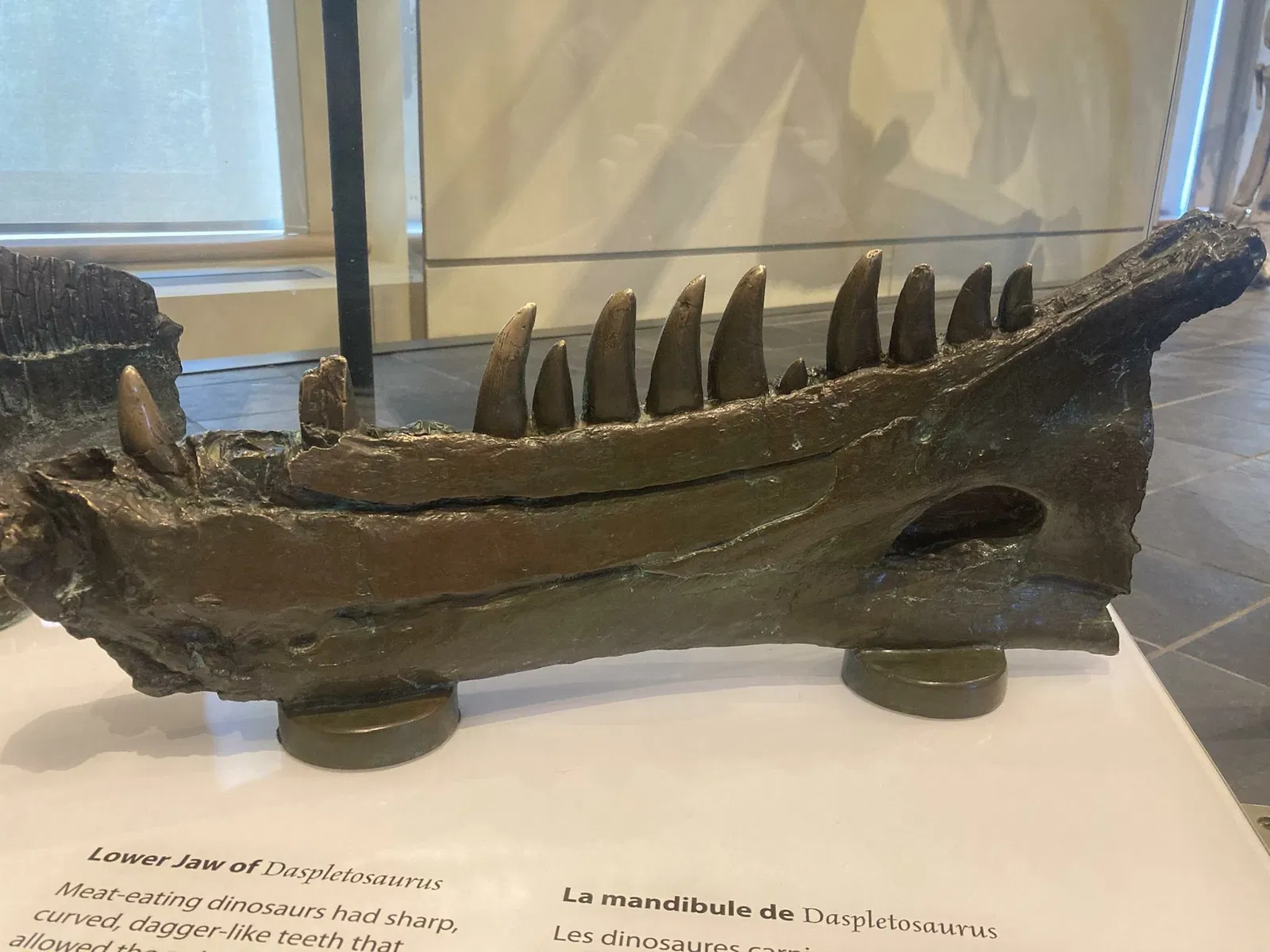 Canadian Museum of Nature