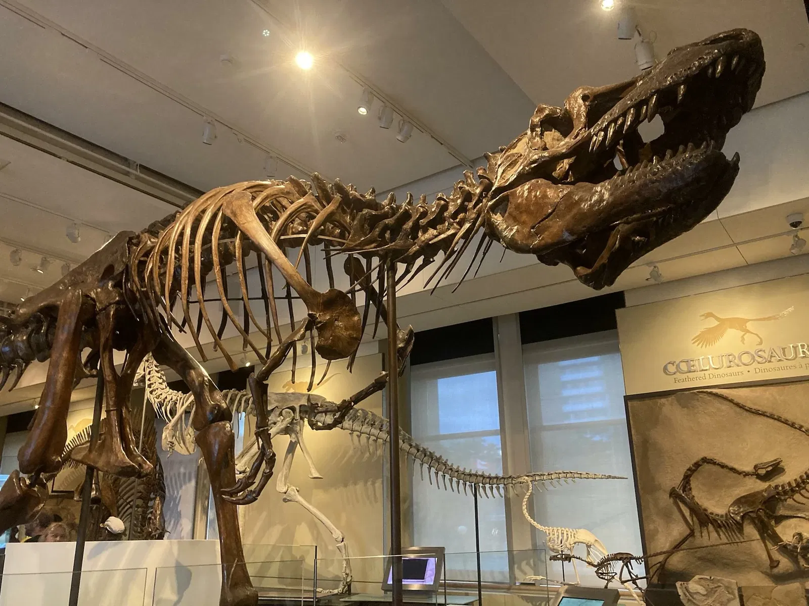 Canadian Museum of Nature