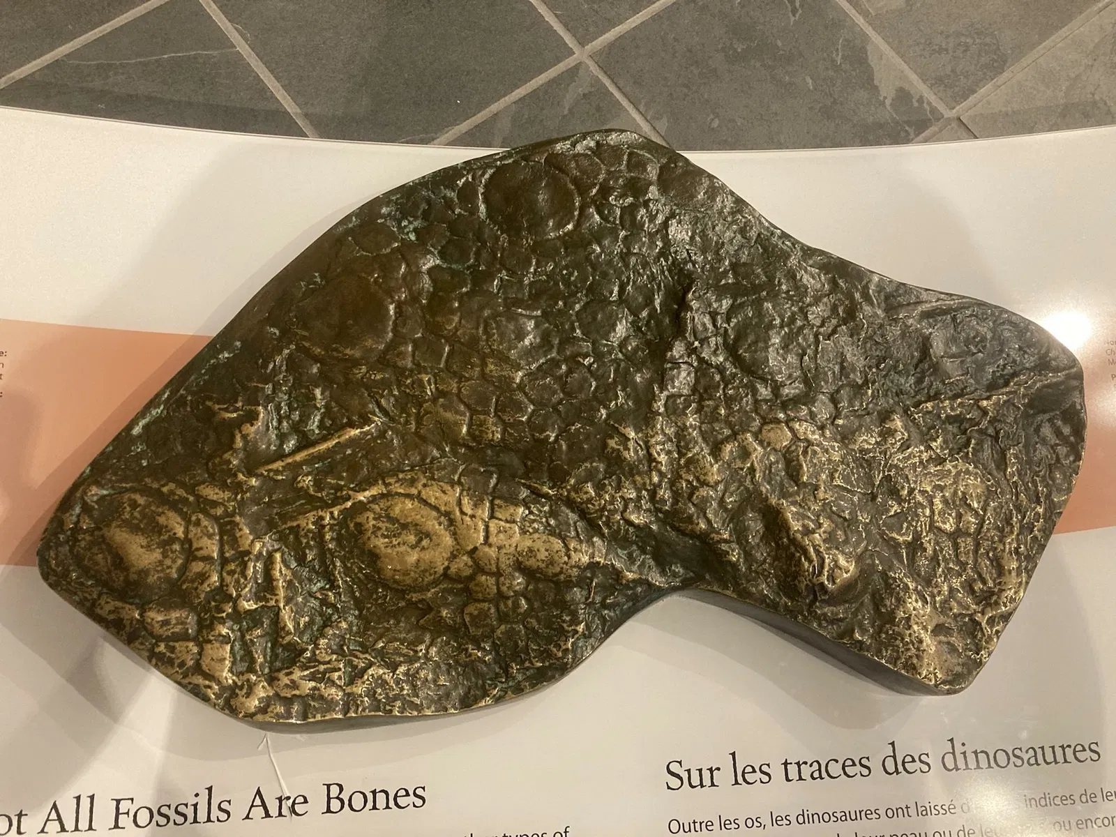 Canadian Museum of Nature