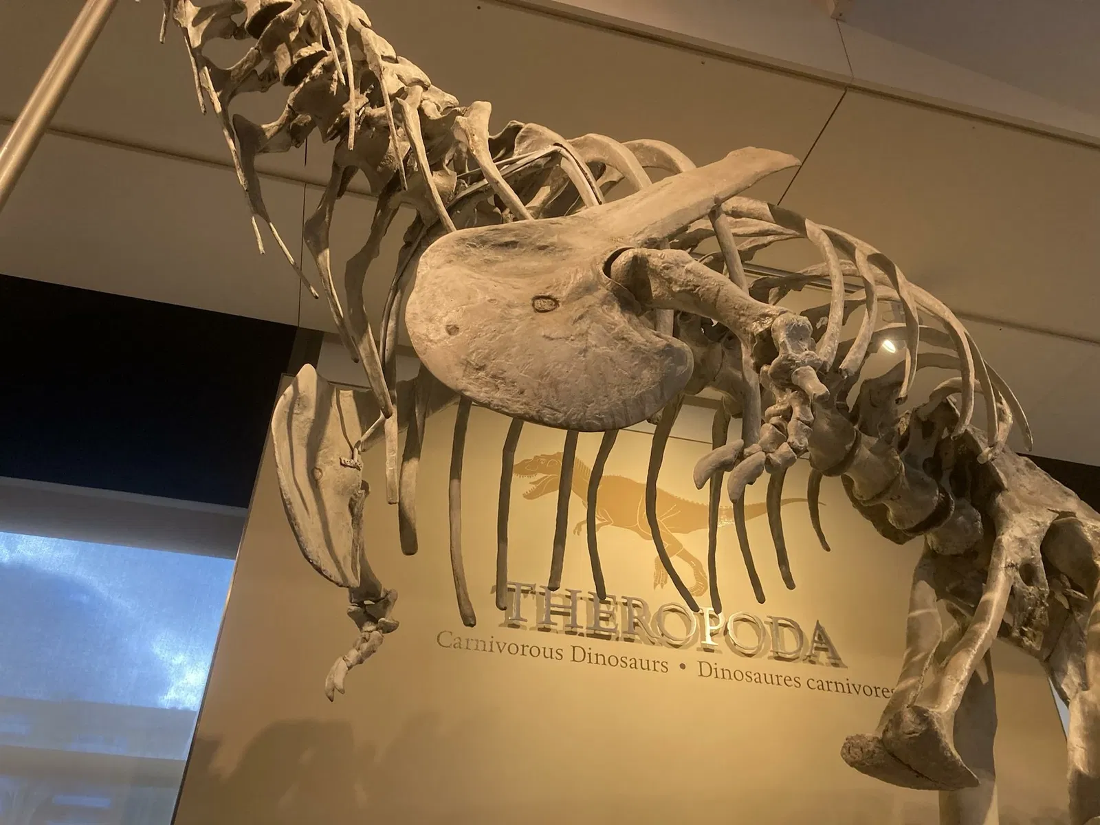 Canadian Museum of Nature