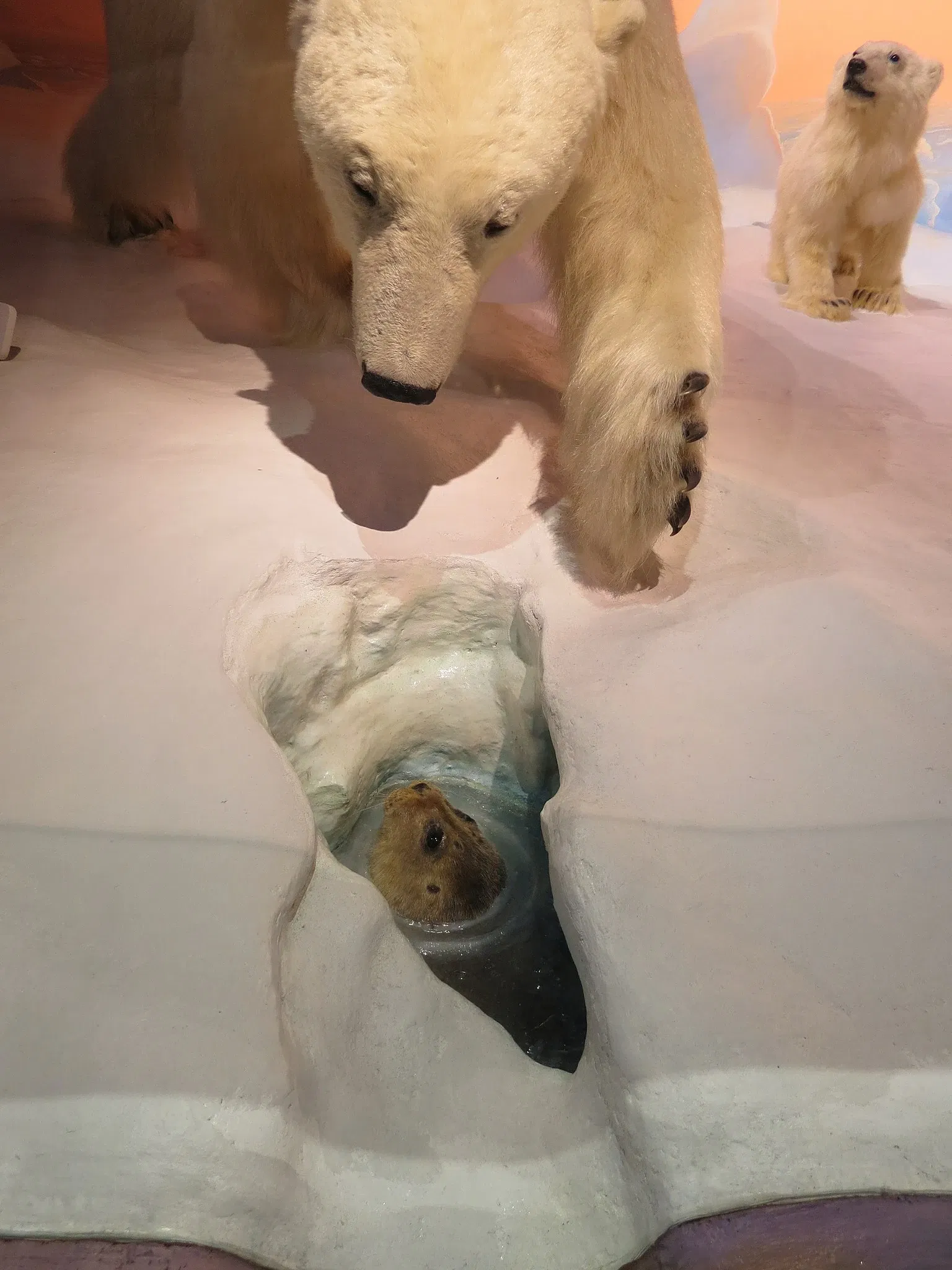 Canadian Museum of Nature