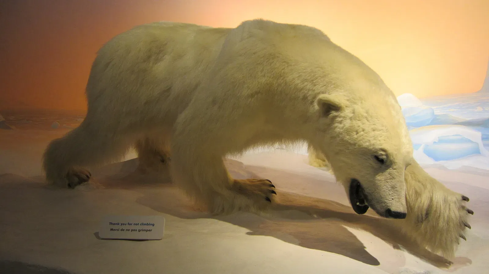 Canadian Museum of Nature