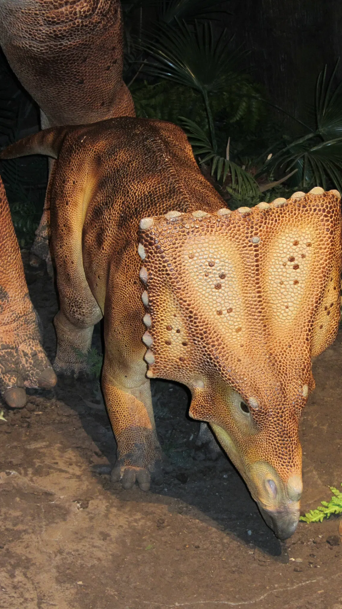 Canadian Museum of Nature