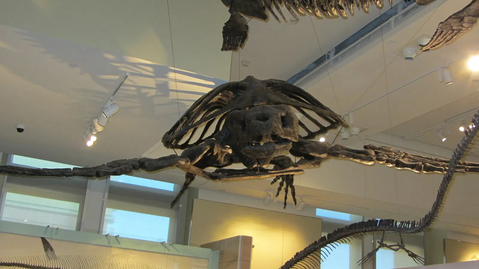 Canadian Museum of Nature