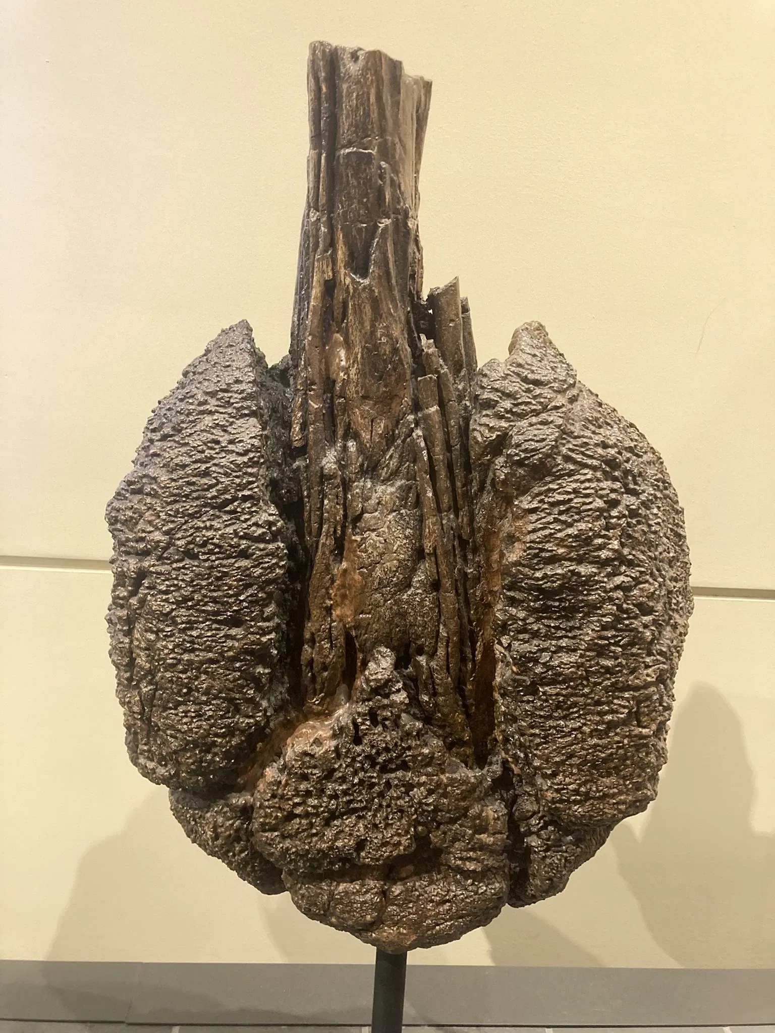 Canadian Museum of Nature