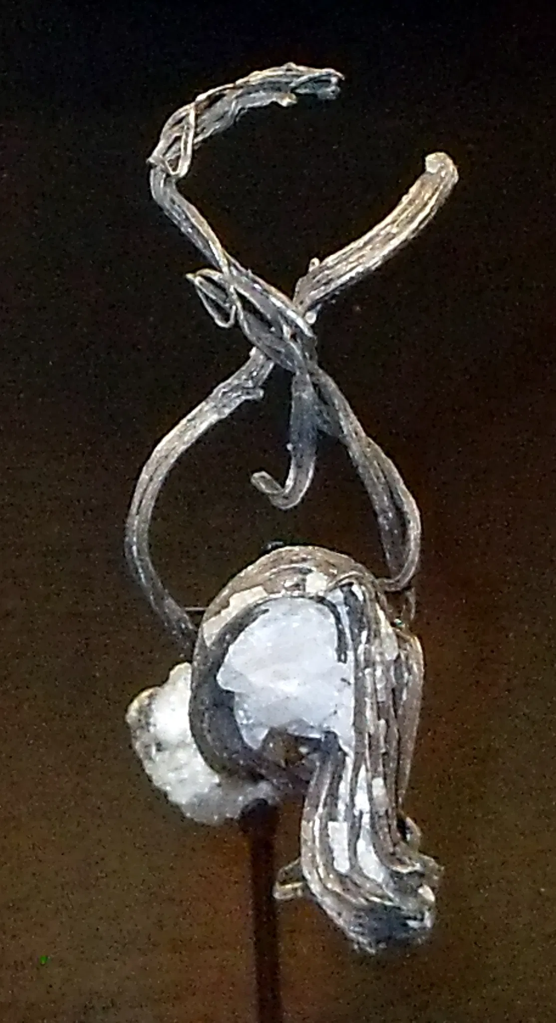 Canadian Museum of Nature