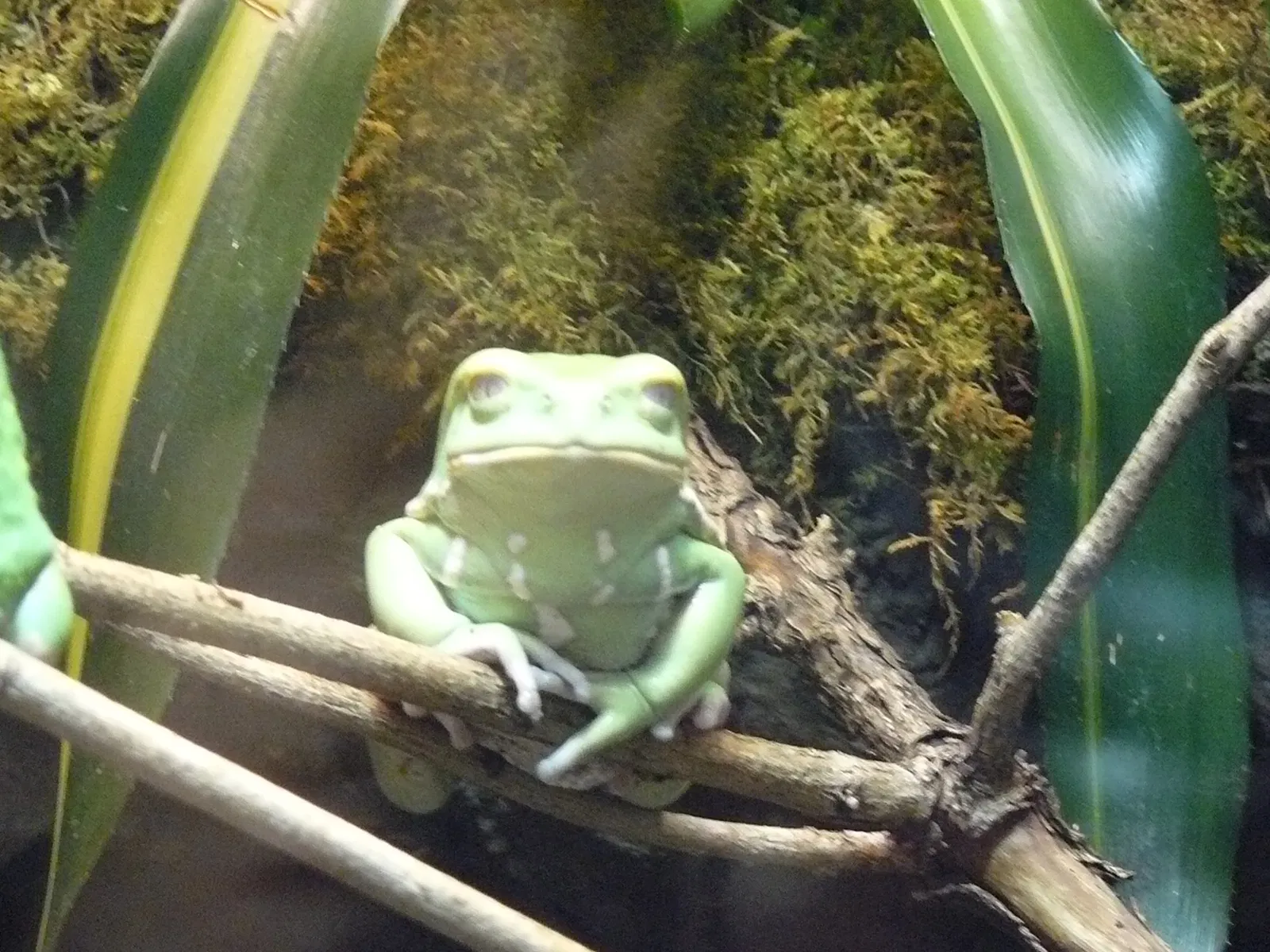 Canadian Museum of Nature