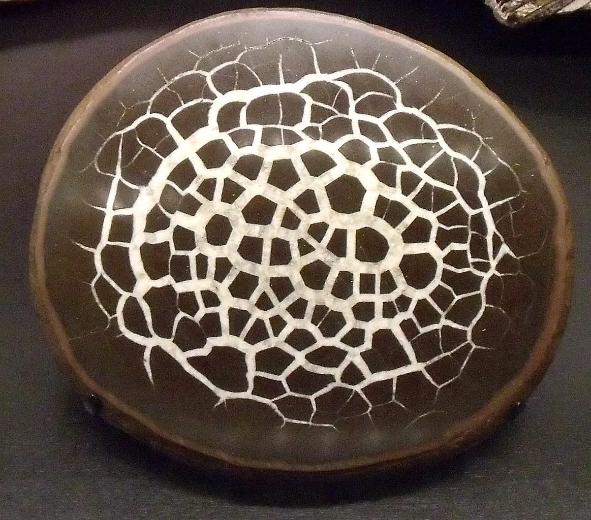 Canadian Museum of Nature