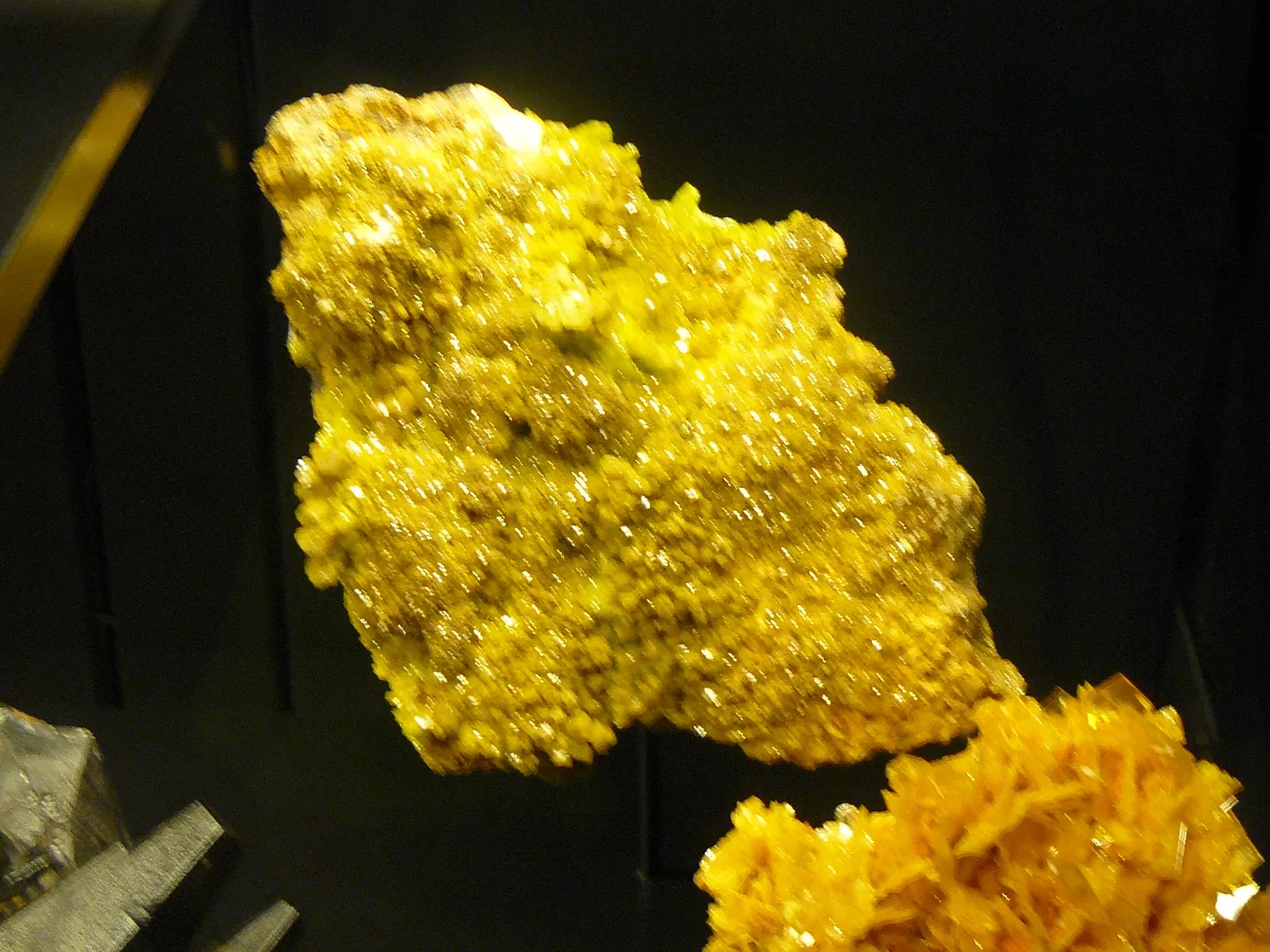 Canadian Museum of Nature