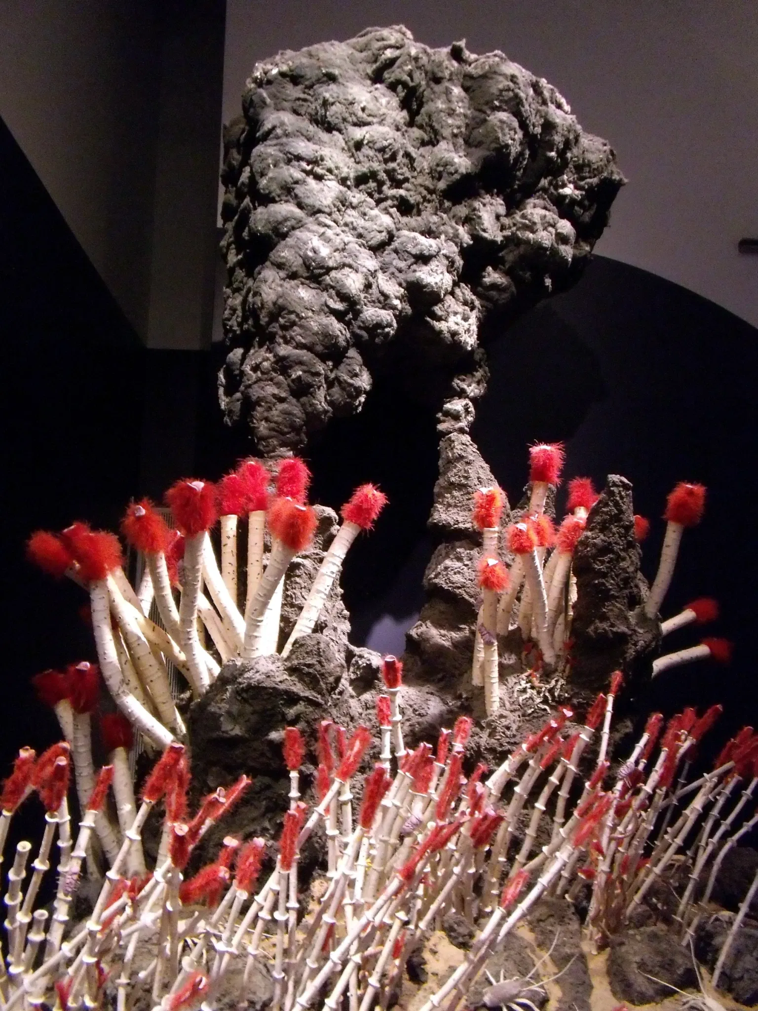 Canadian Museum of Nature