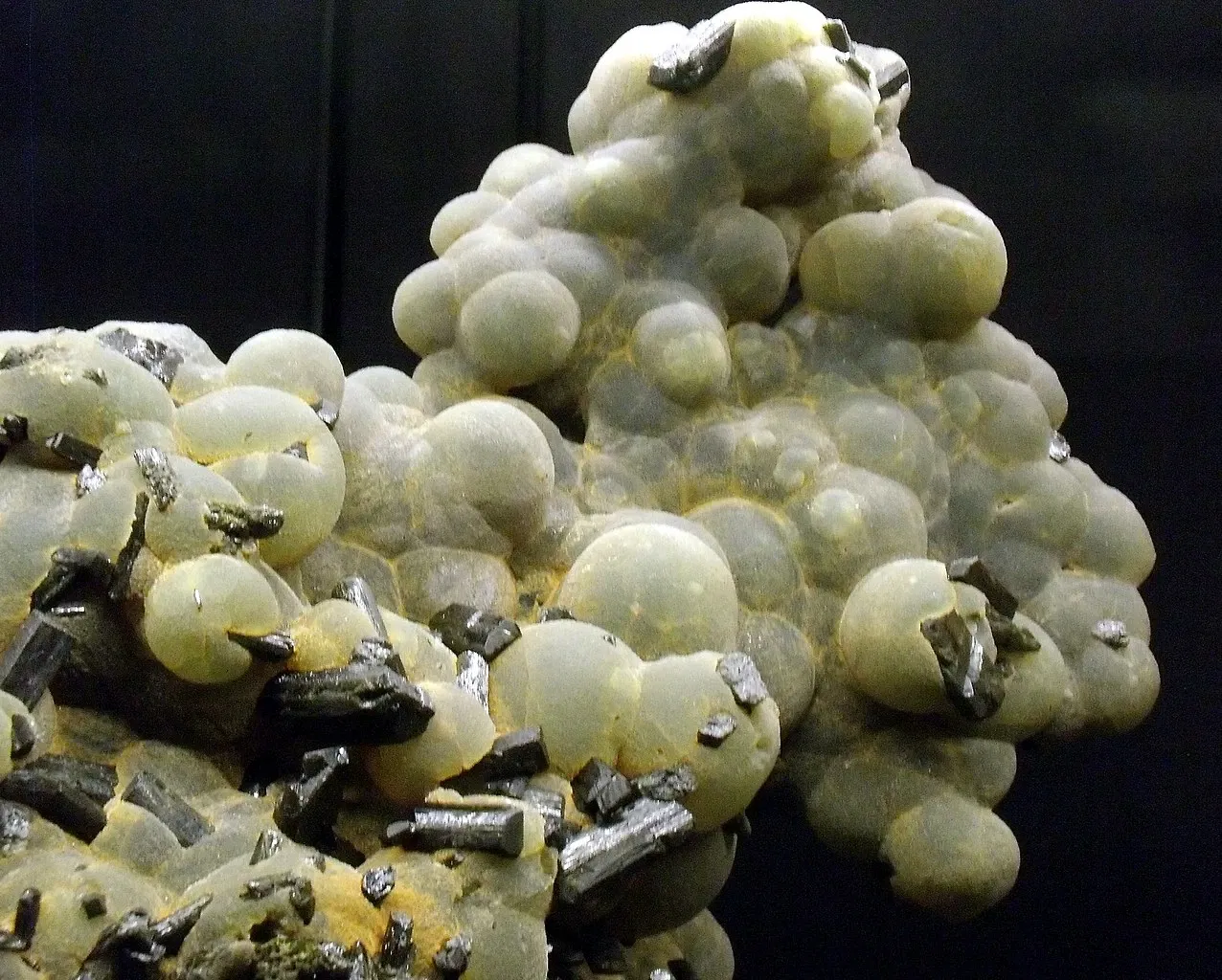 Canadian Museum of Nature