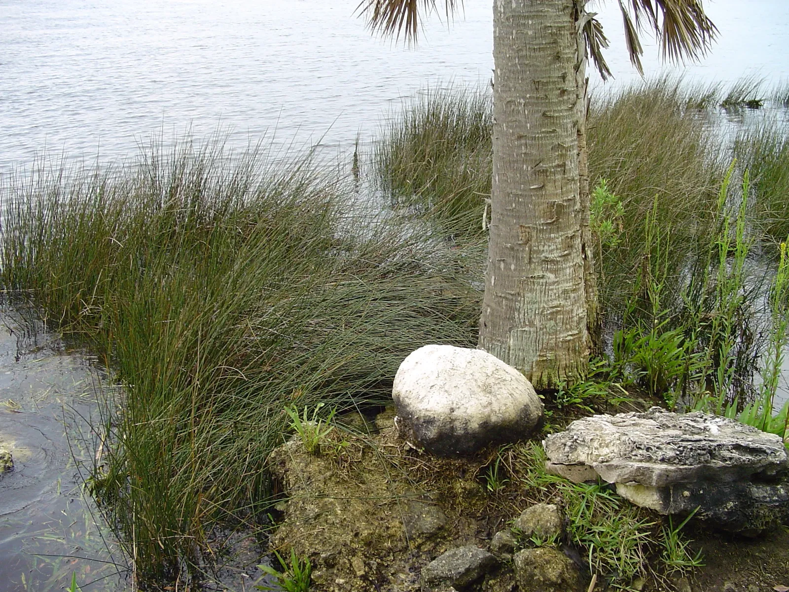 San Marcos De Apalache Historic State Park