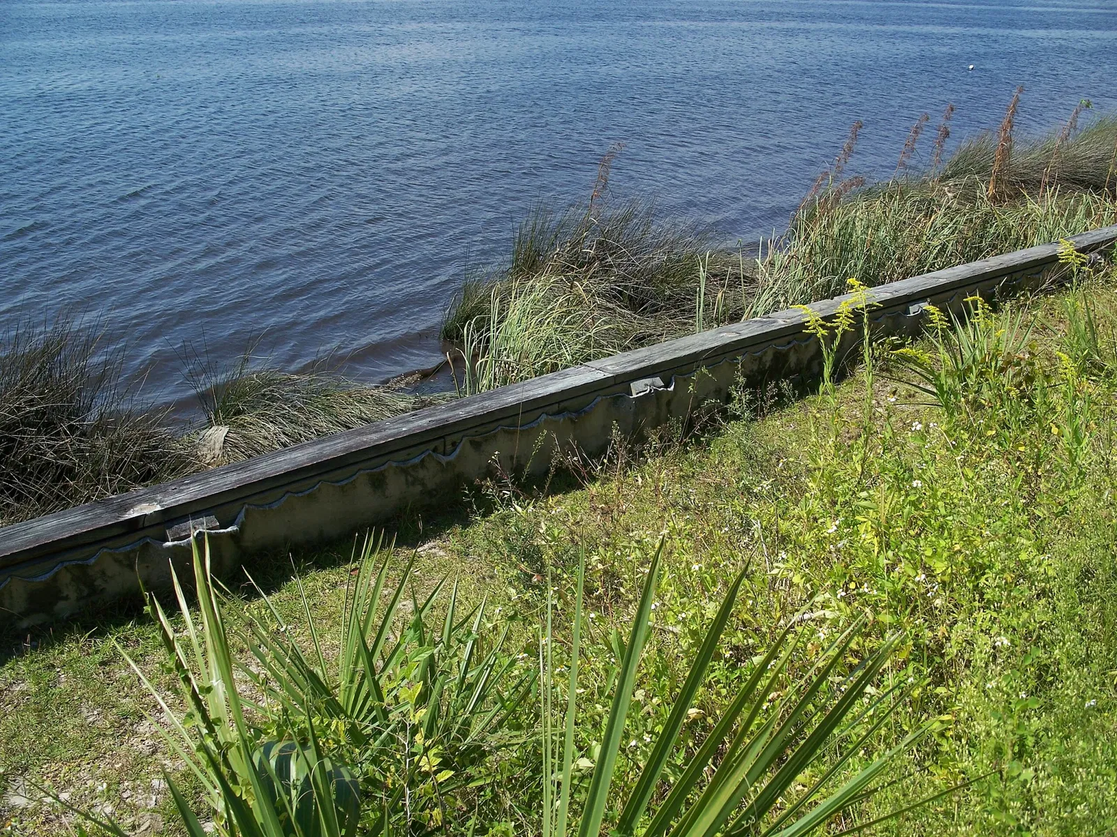 Fuerte de San Marcos de Apalache