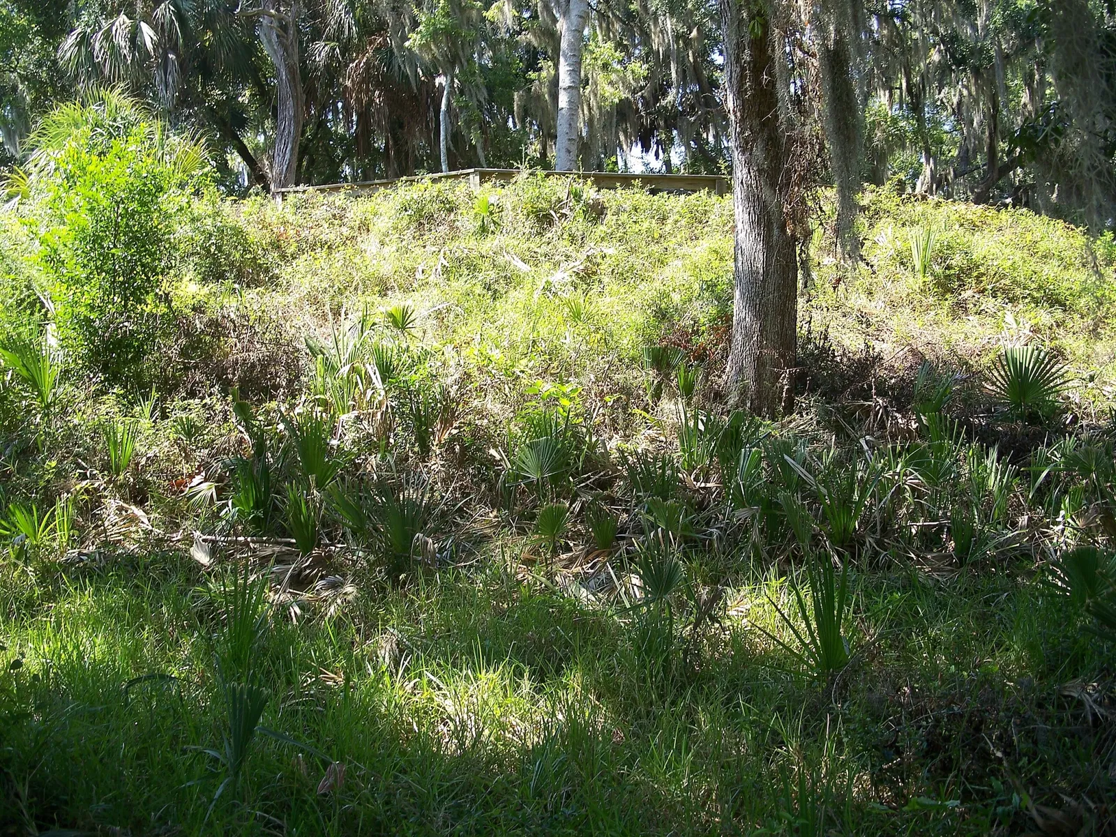 San Marcos De Apalache Historic State Park