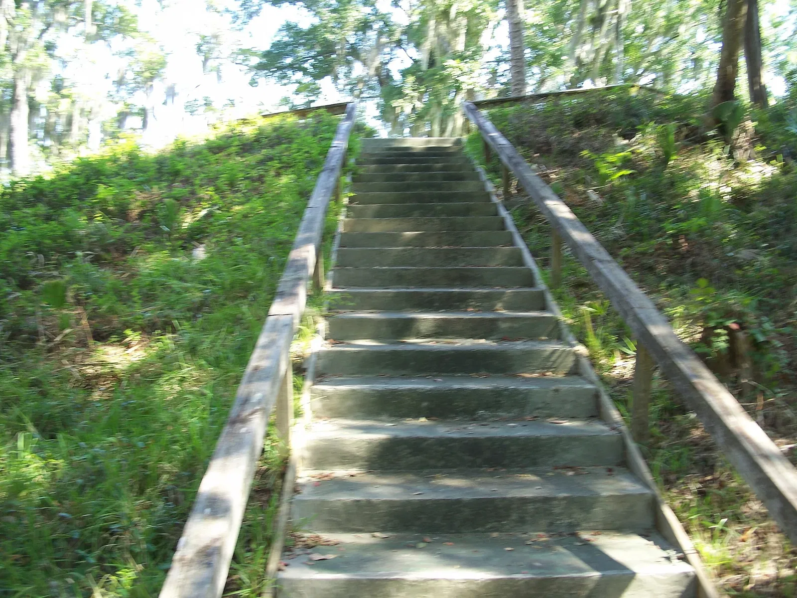 Fuerte de San Marcos de Apalache