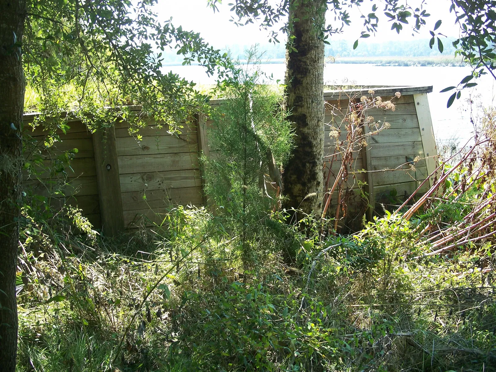 Fuerte de San Marcos de Apalache