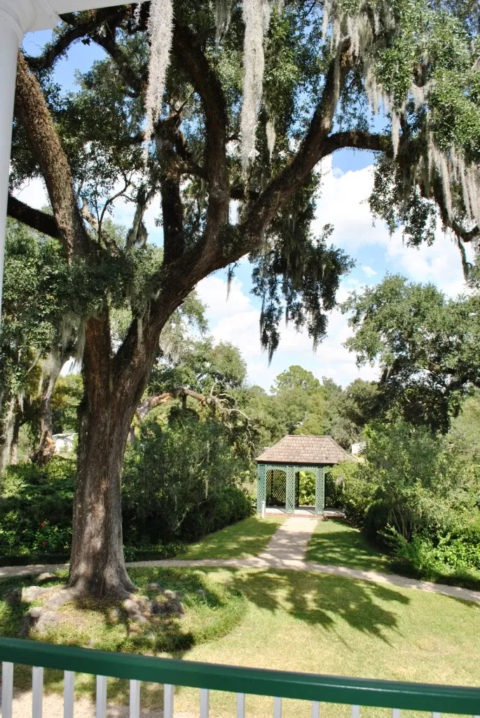 Shadows-on-the-Teche