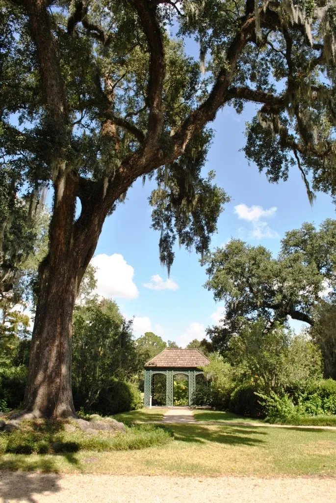 Shadows-on-the-Teche