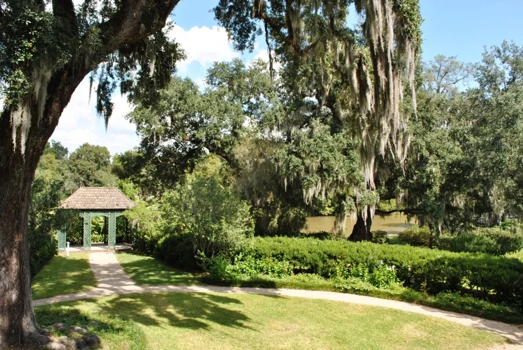 Shadows-on-the-Teche