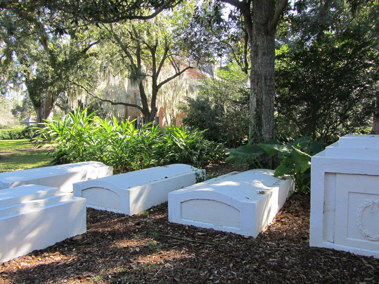 Shadows-on-the-Teche