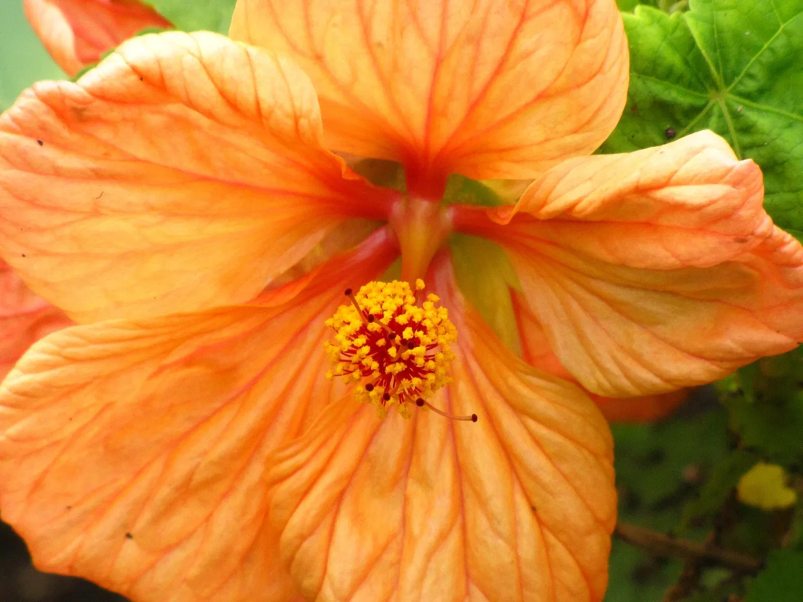 Assiniboine Park Zoo