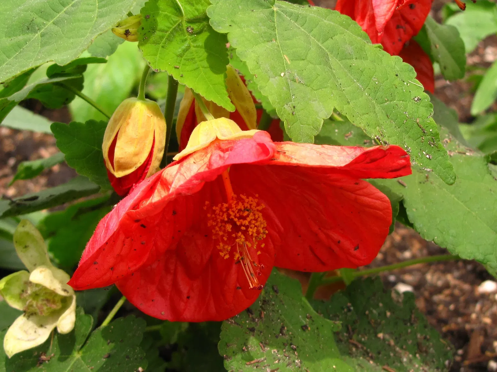 Assiniboine Park Zoo