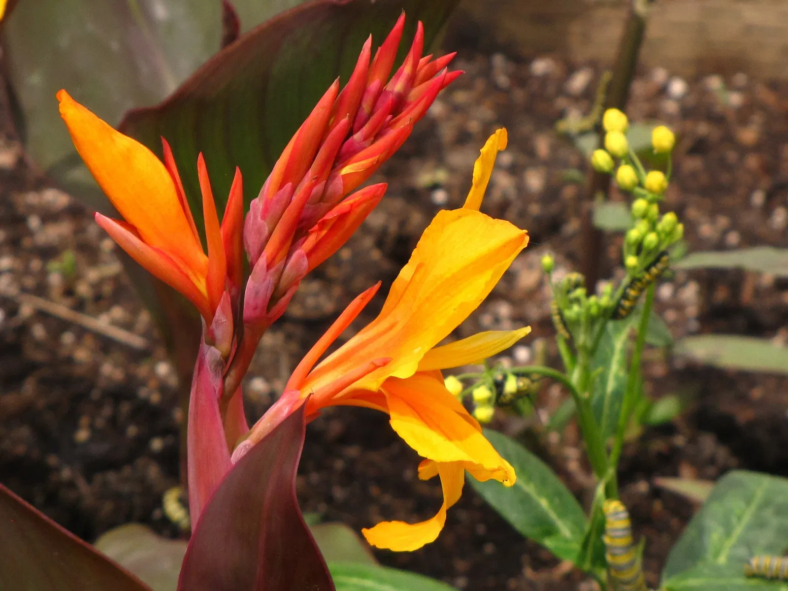 Assiniboine Park Zoo