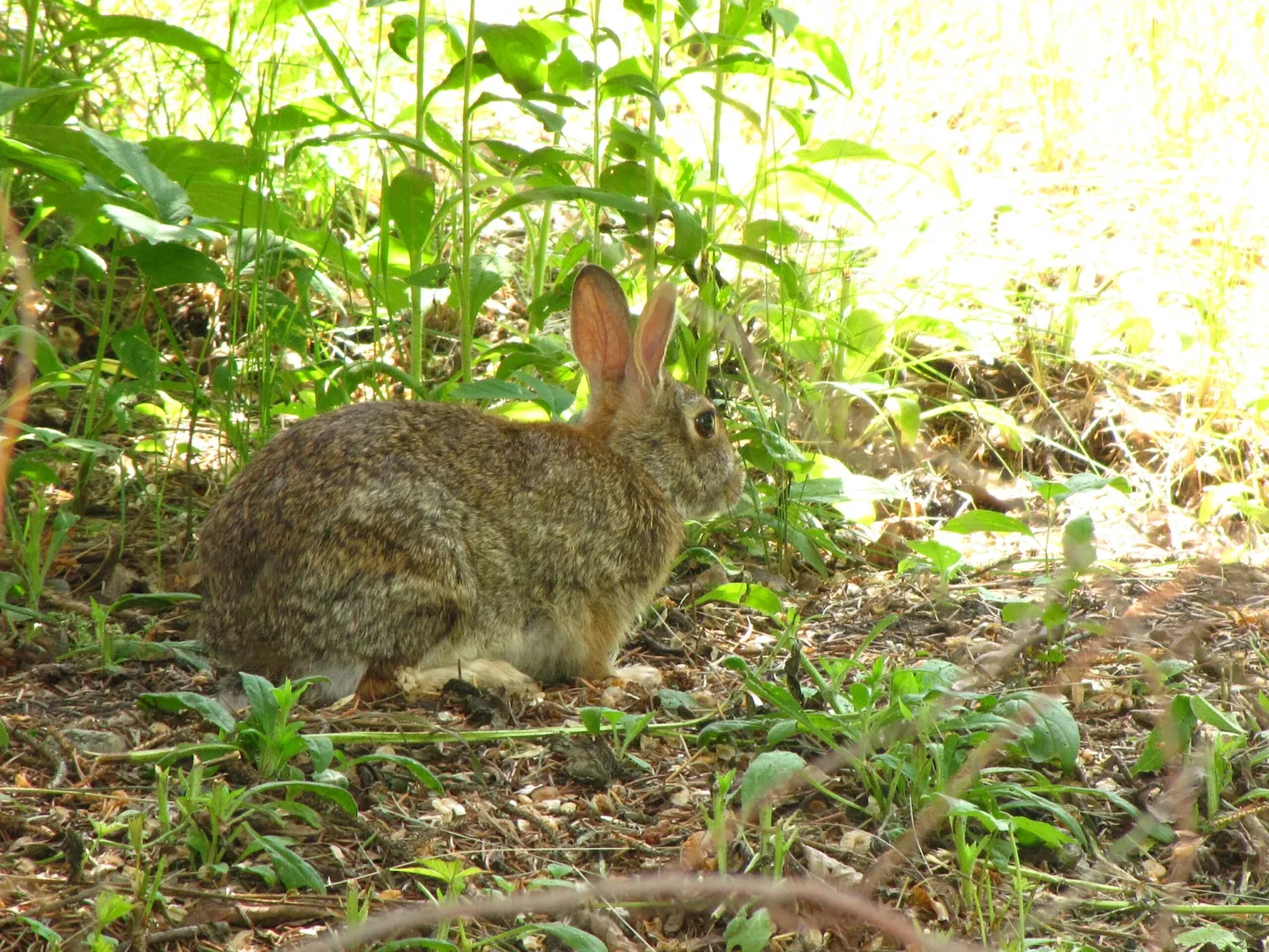 Assiniboine Park Zoo