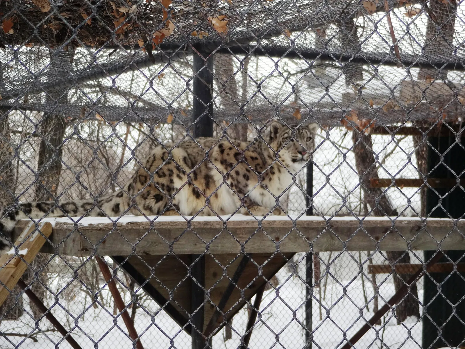 Assiniboine Park Zoo