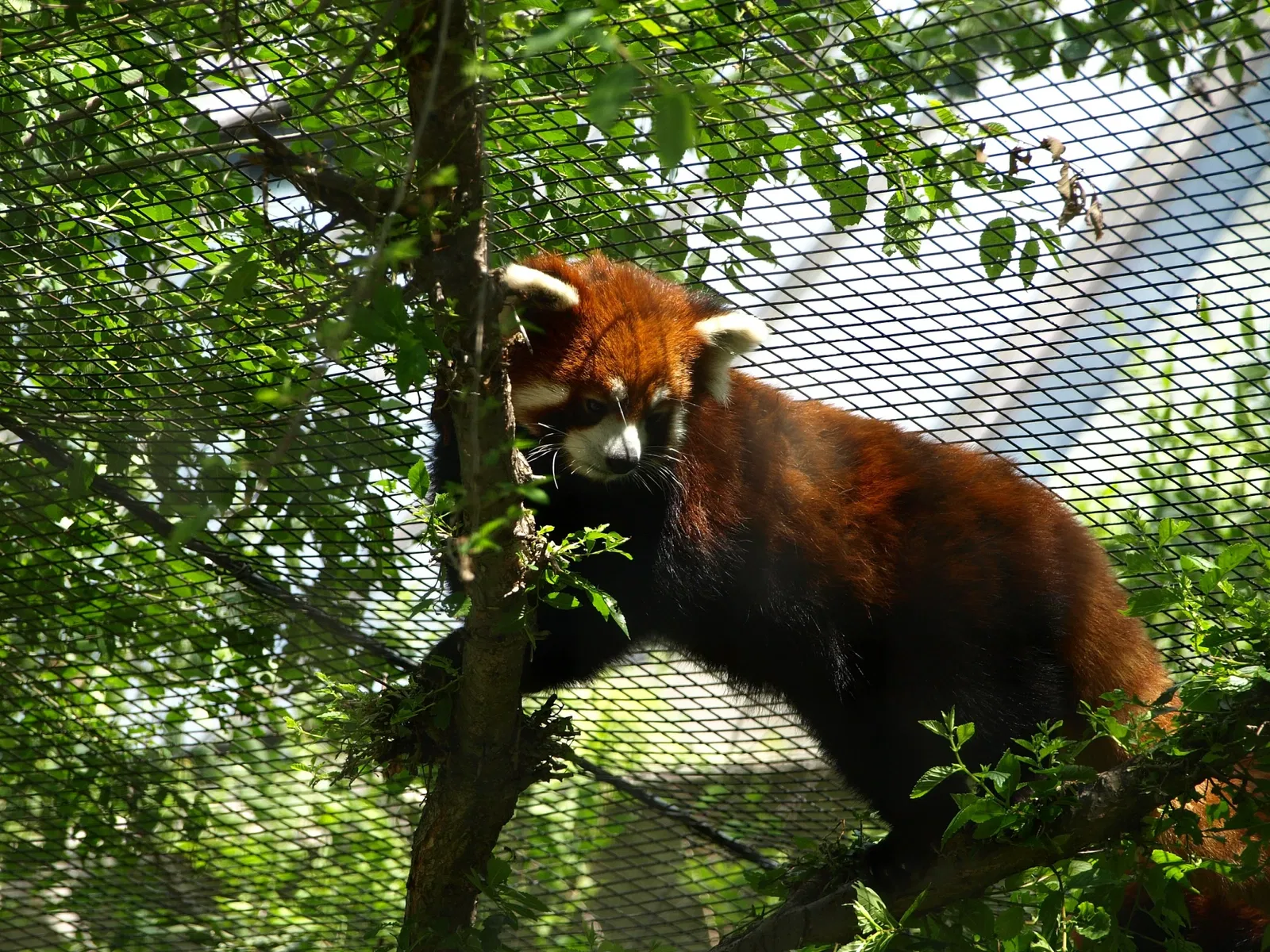 Assiniboine Park Zoo