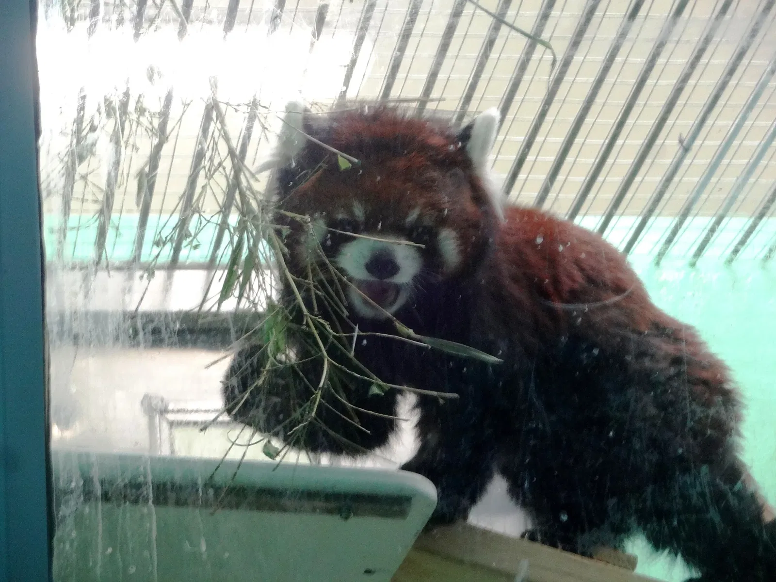 Assiniboine Park Zoo