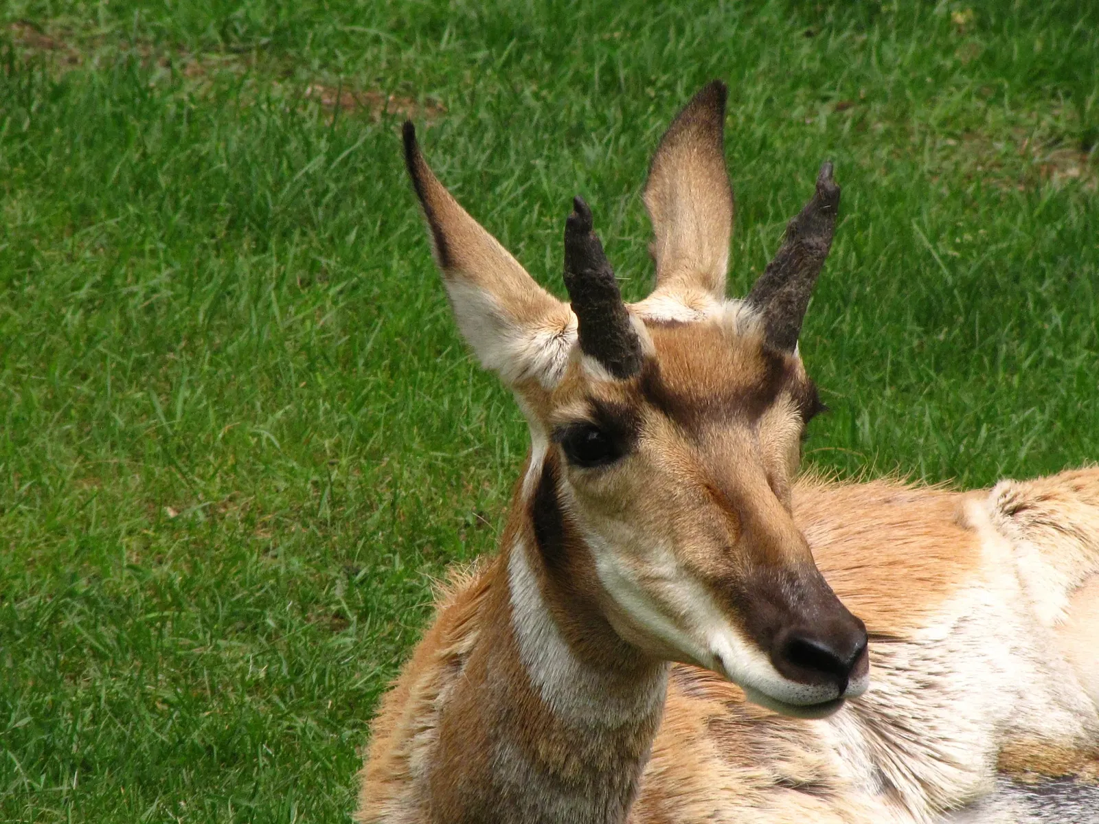 Assiniboine Park Zoo