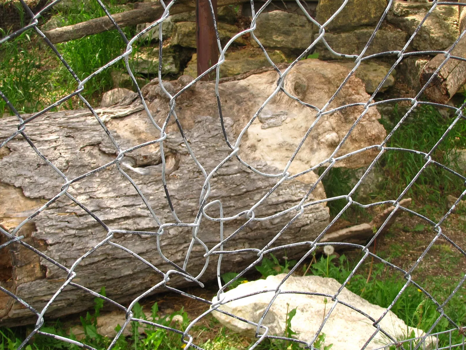 Assiniboine Park Zoo
