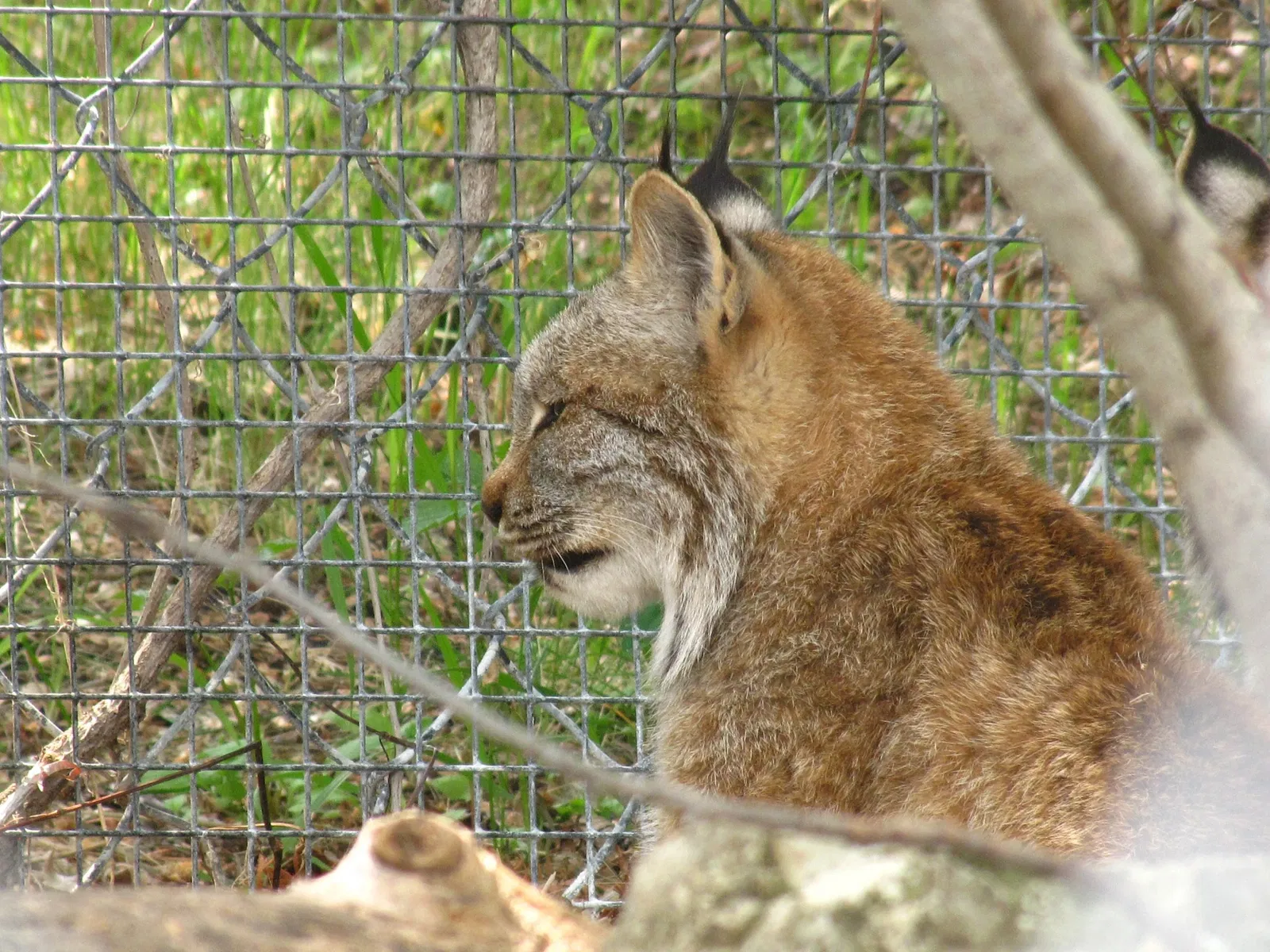 Assiniboine Park Zoo