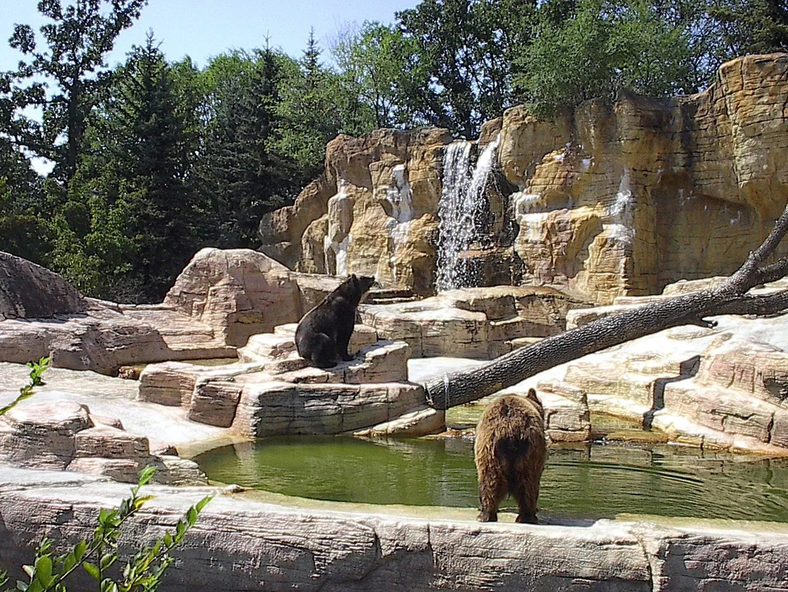 Assiniboine Park Zoo