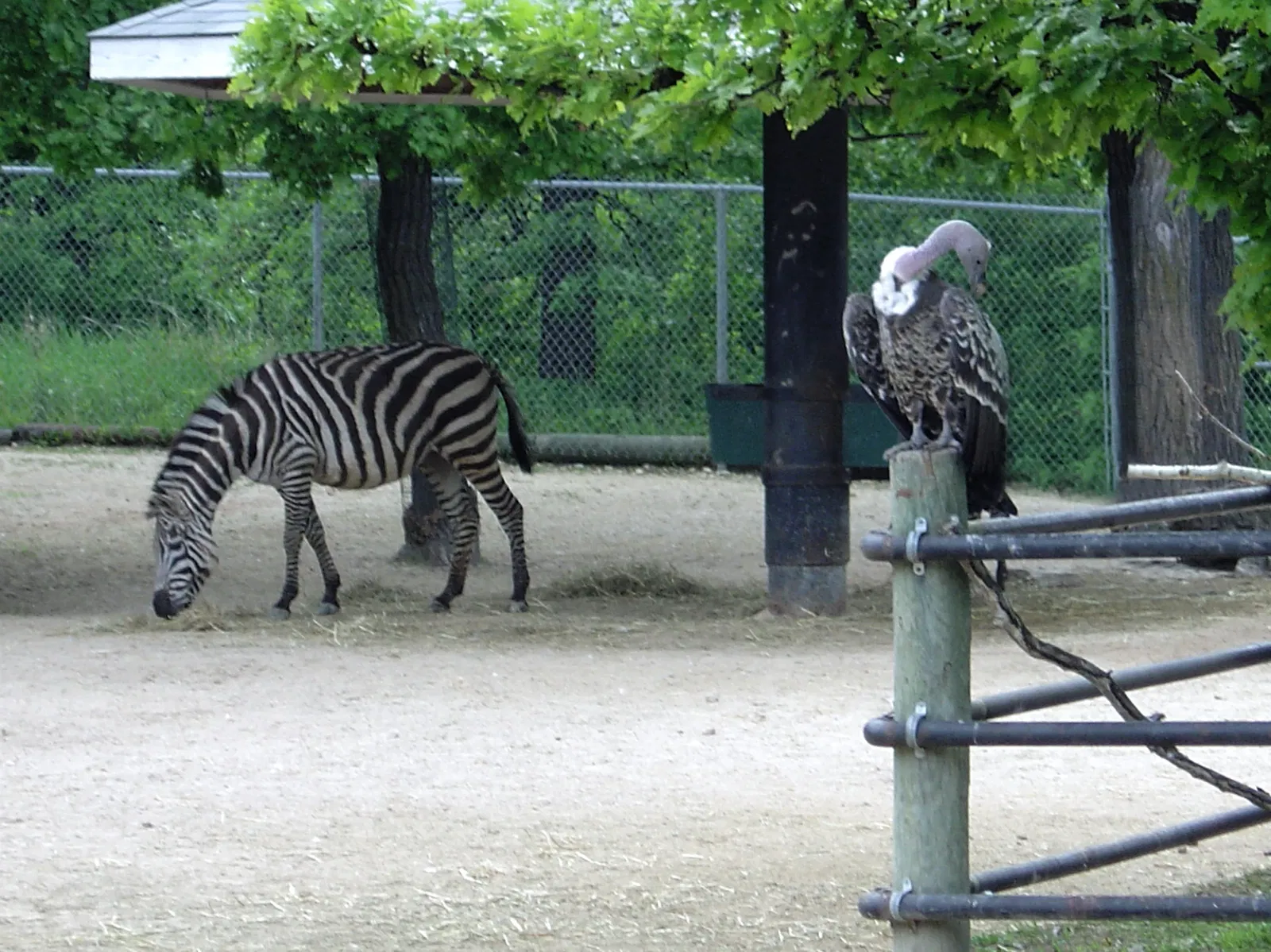 Assiniboine Park Zoo