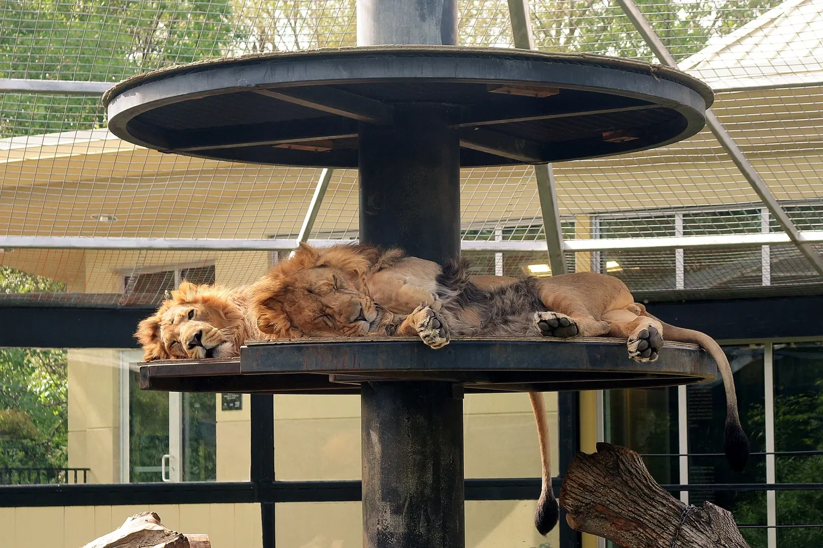 Assiniboine Park Zoo
