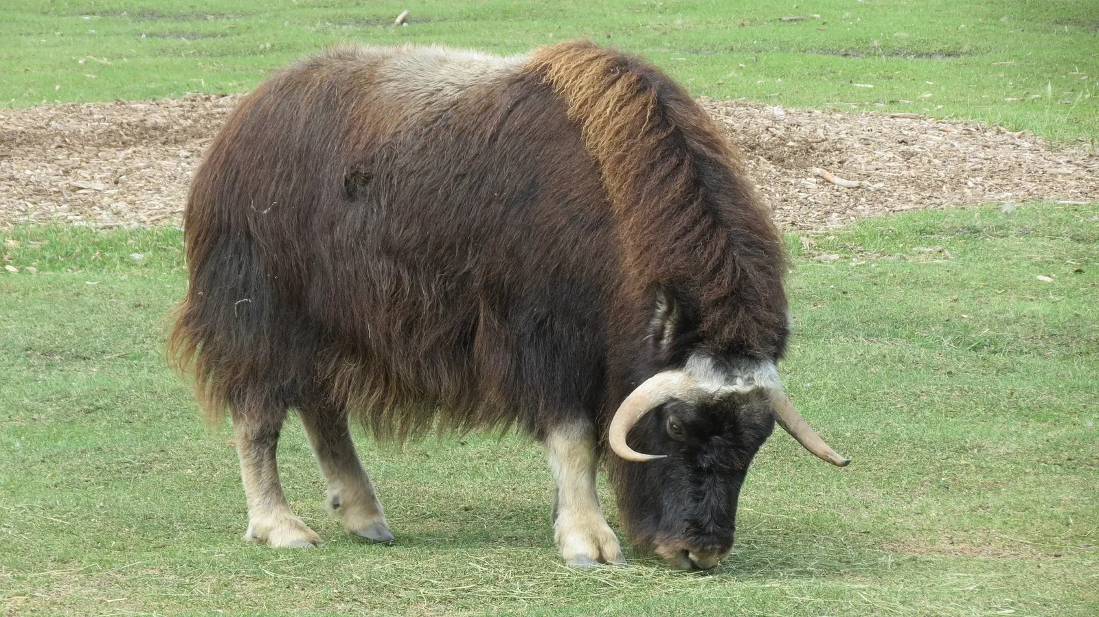 Assiniboine Park Zoo