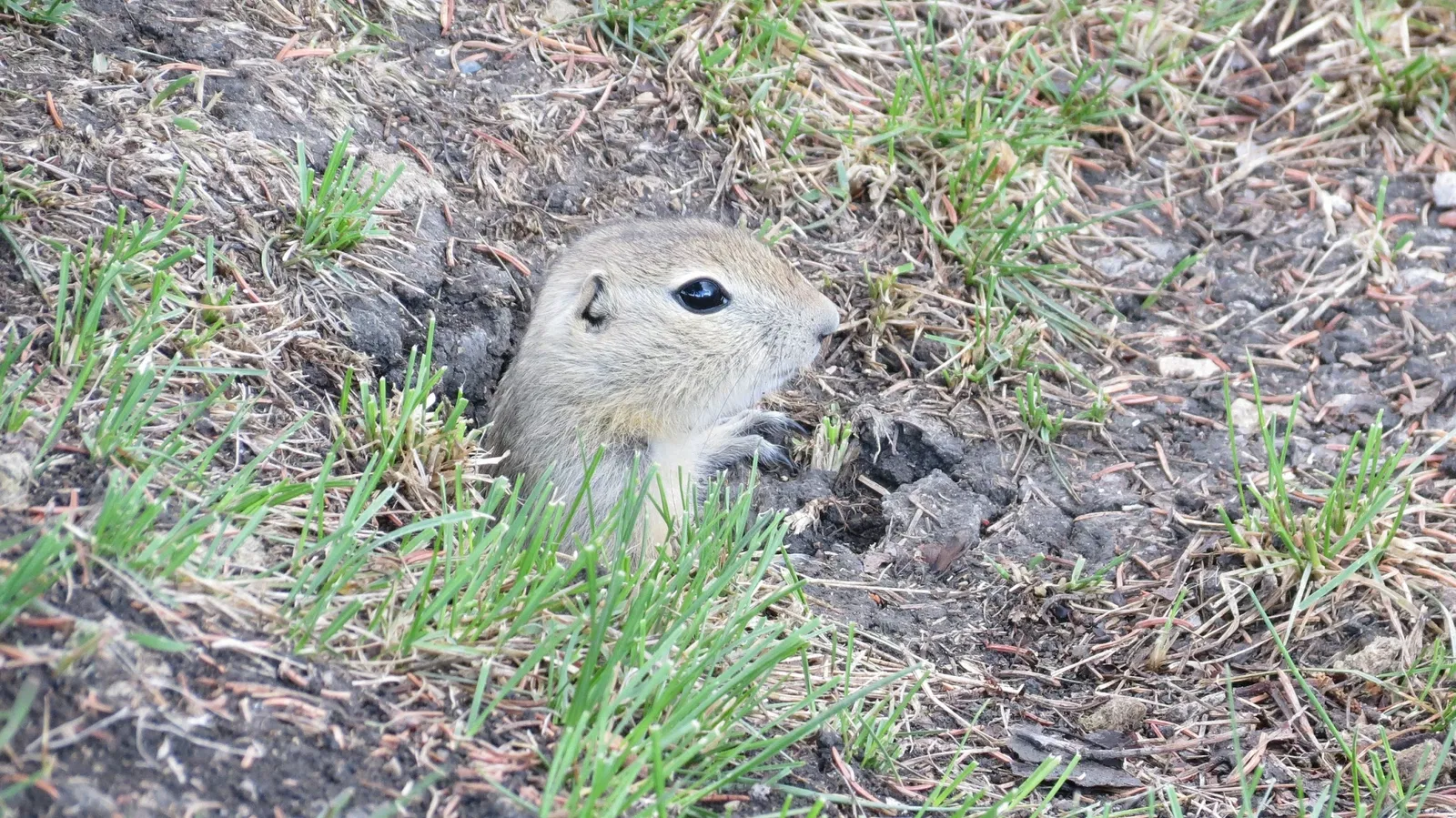 Assiniboine Park Zoo