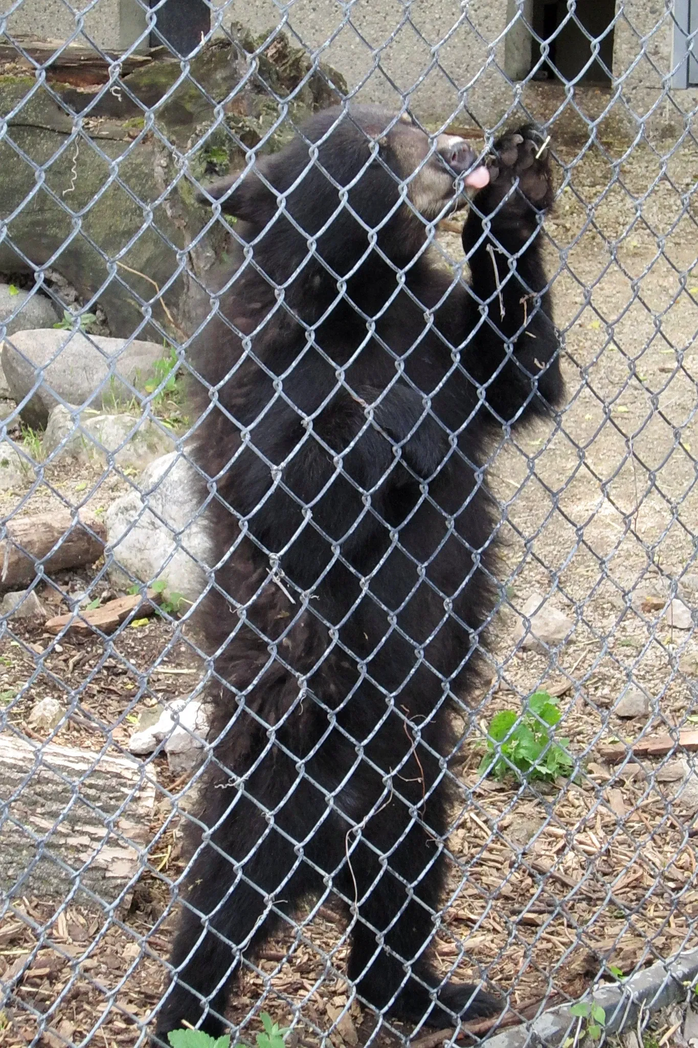 Assiniboine Park Zoo