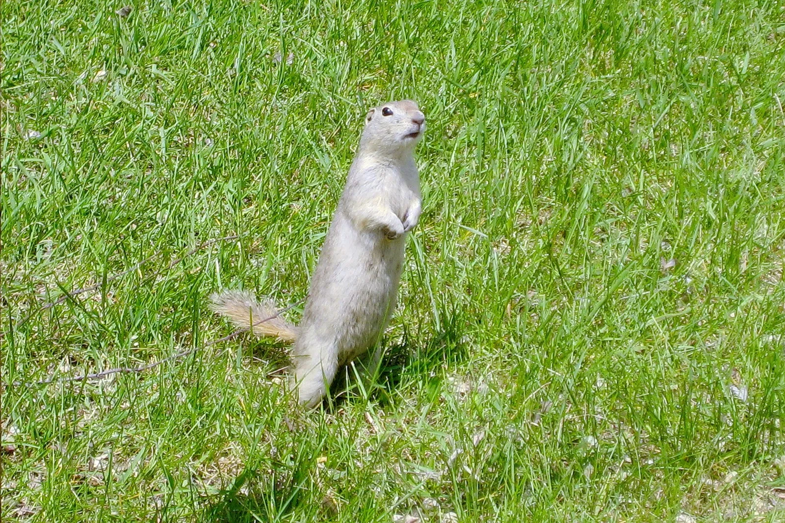 Assiniboine Park Zoo
