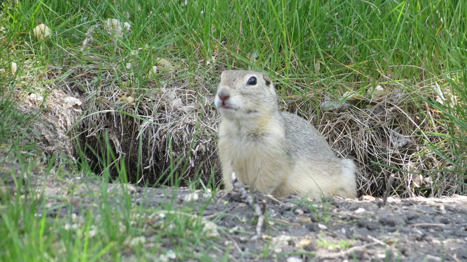 Assiniboine Park Zoo