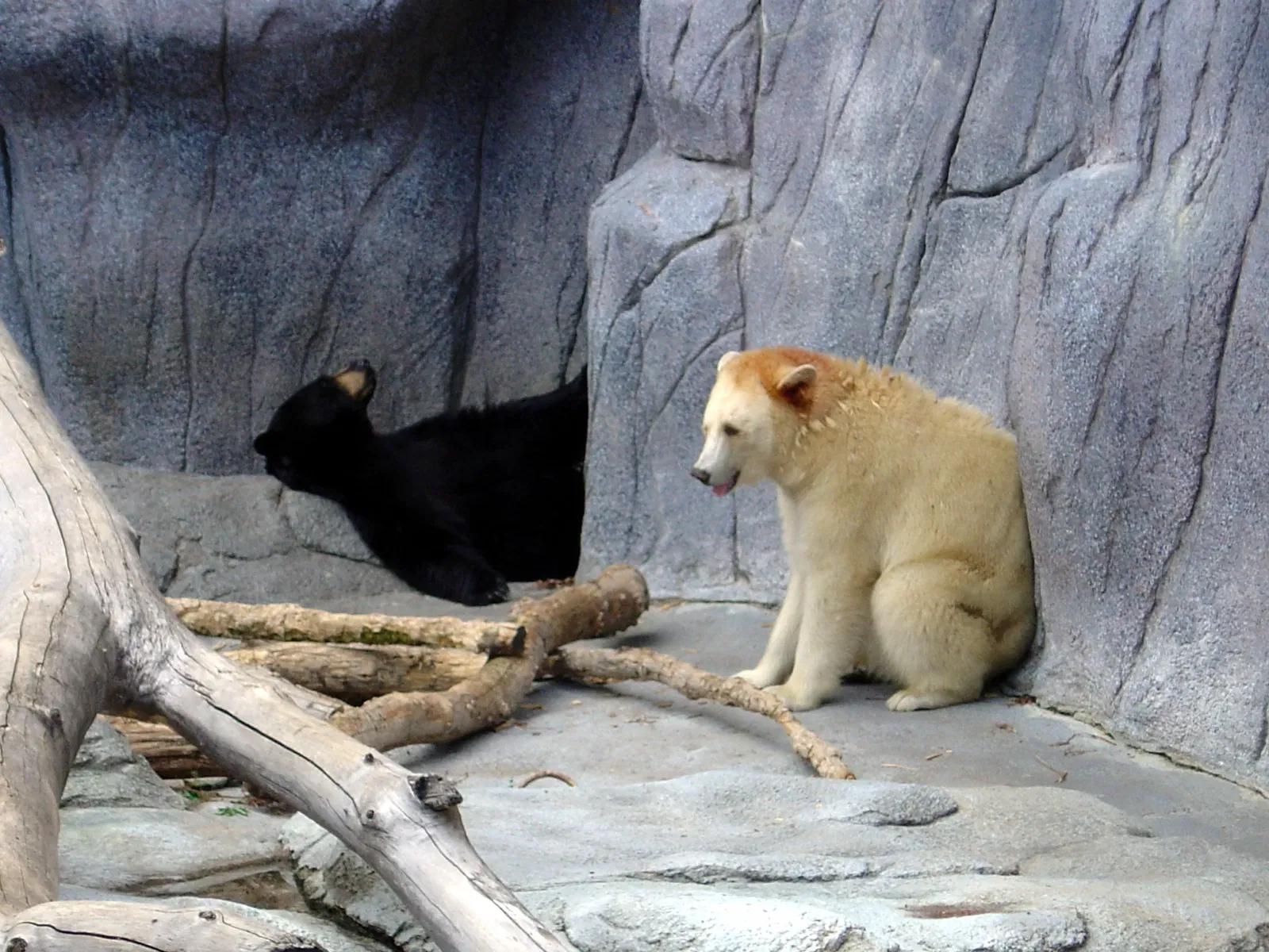 Assiniboine Park Zoo